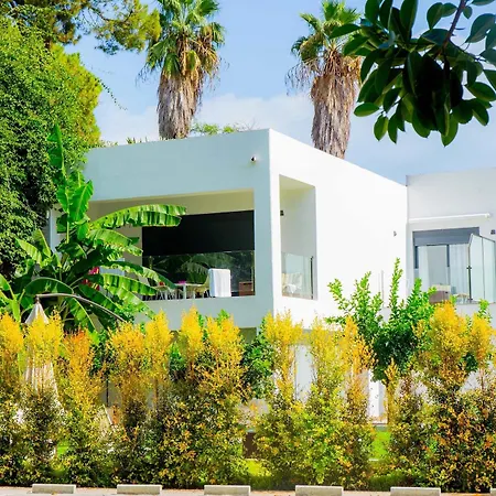 Dimona * Torremolinos